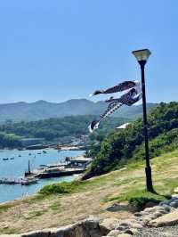 威海旅遊寶藏拍照打卡點同貝殼沙灘🩵