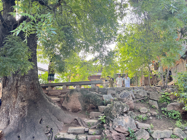 沙溪一日遊  一份從大觀酒店（大理高鐵站洱海公園店）出發的攻略：  交通方式  •自駕：從大理大