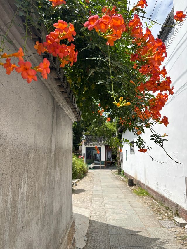 黃山腳下嘅小眾秘境西溪南夏日避暑全攻略