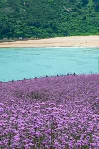 唔係國外，係浙江，最被低估嘅寶藏海島