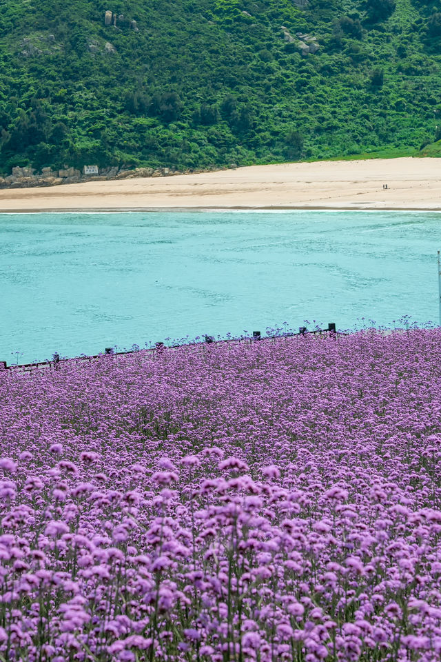 唔係國外，係浙江，最被低估嘅寶藏海島