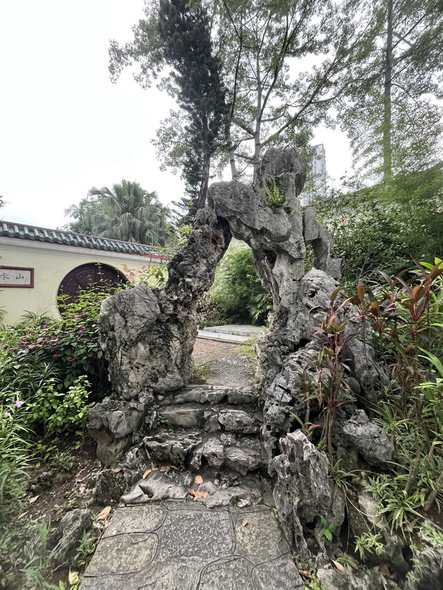 🌧️ 柳州人才懂的雨天浪漫！柳侯公園餵魚賞雨秘境大公開