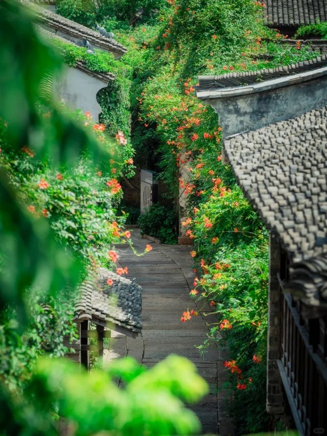 抓住夏天尾巴，與凌霄共赴水尚生活之約！