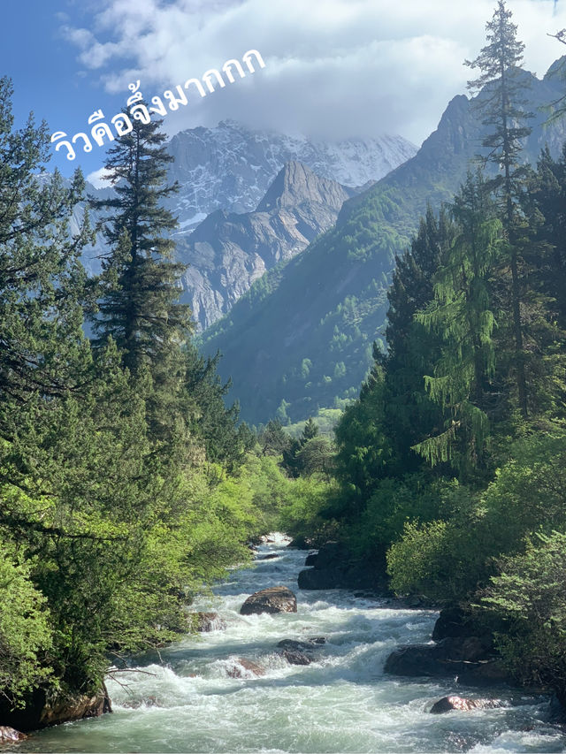 Siguniangshan - changpinggou In June
