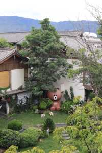 在麗江住到了《青春環遊記》王寶強同款酒店