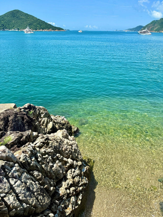 港島最美海岸線行山1.5小時新手友善路線！衝呀！