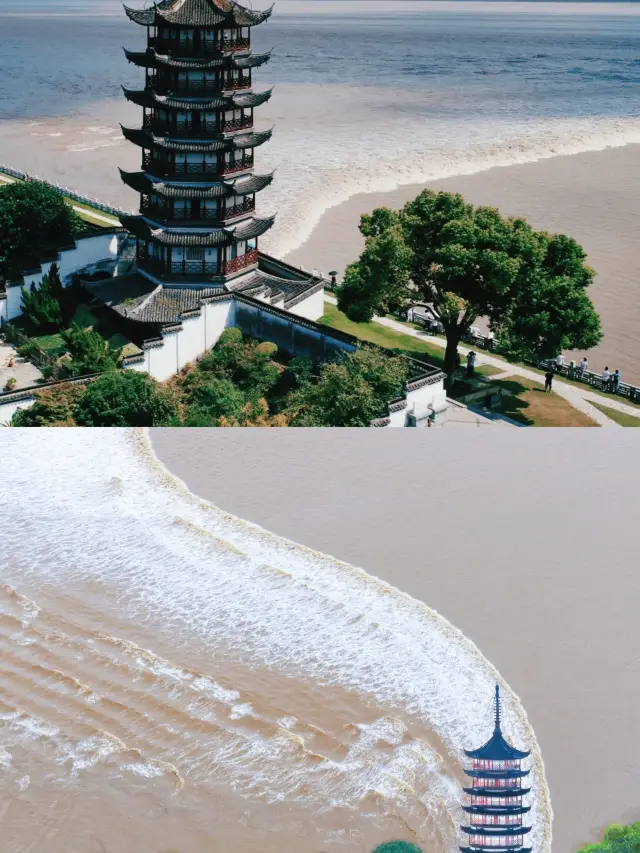 New Ways to Enjoy Yanguan Revealed! New Ways to Watch the Tide at Yanguan