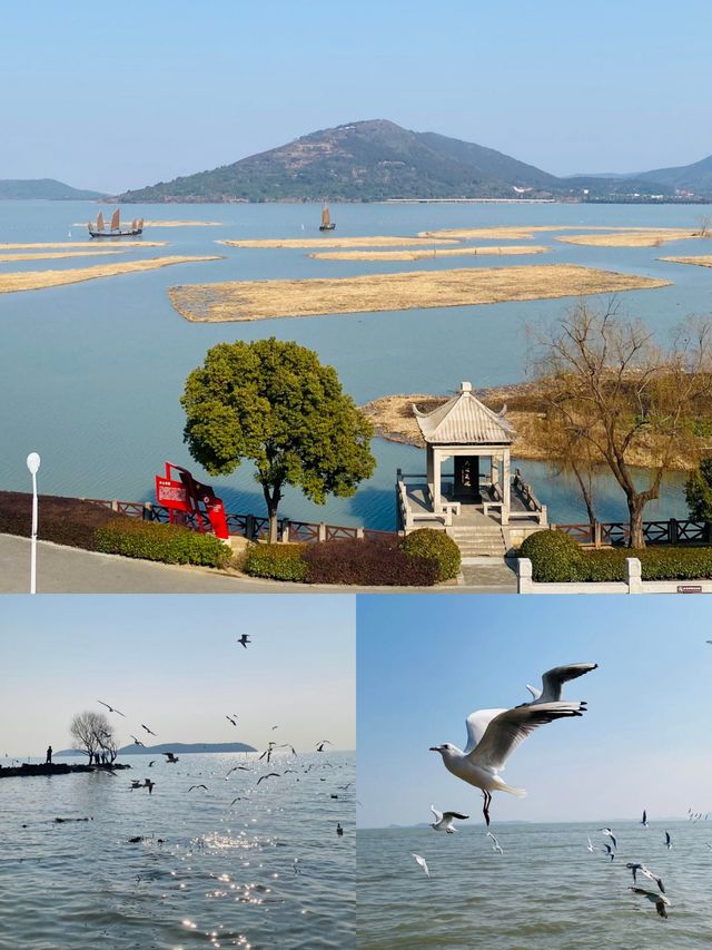 奔赴太湖，邂逅秋日浪漫盛宴