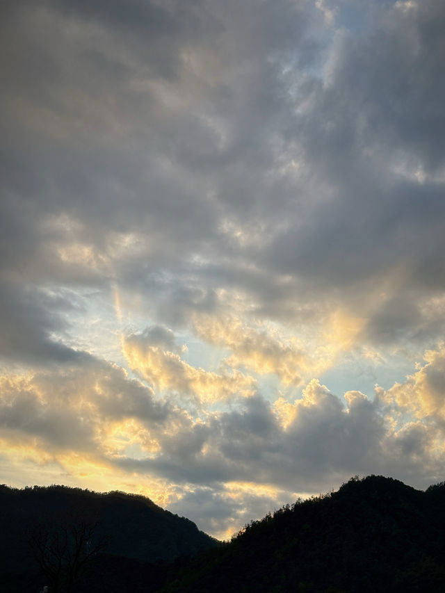 天台秘境：綠野仙蹤，在山脊的褶皺裡，與雲霧對