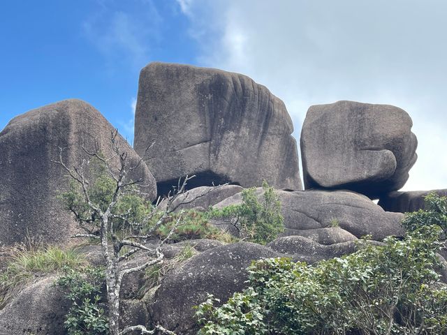 【靈山新玩法|雲端漫步,奇石解碼】 【靈山新玩法|雲端漫步,奇石解碼】
