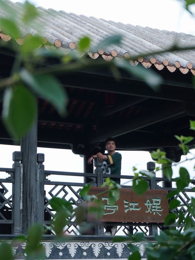 就是為了你的那那句詩，我來到你的家