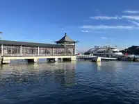 【普陀山】反向路線一日遊get