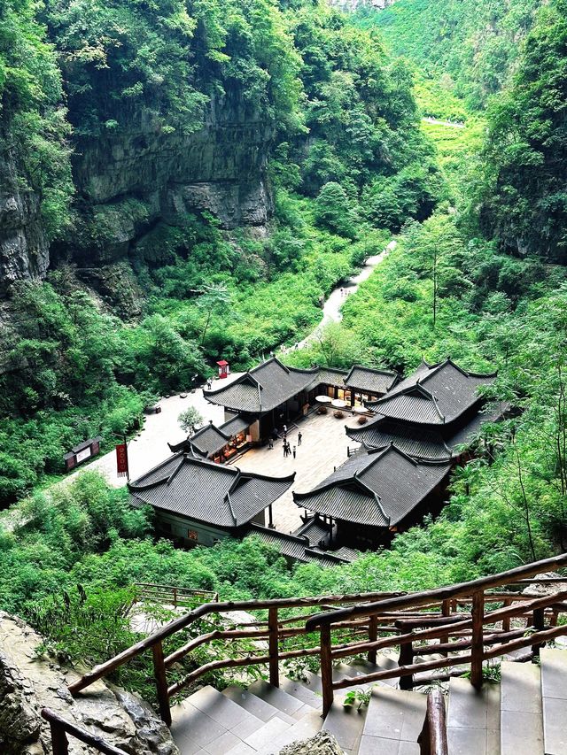 重慶仙女山國家森林公園：大自然之魅力的山野天堂