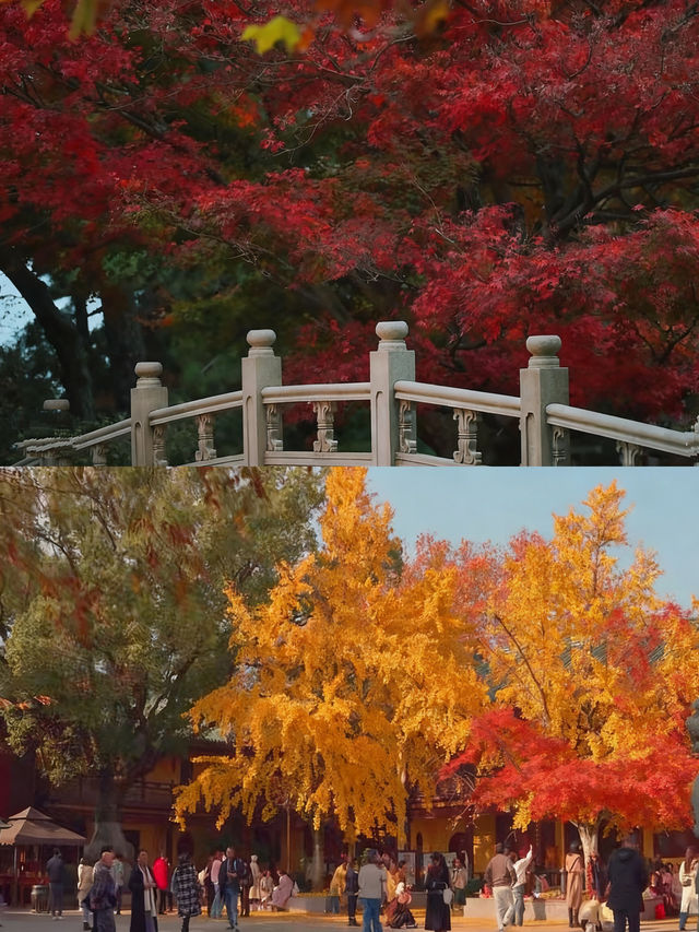 廬山很美，真心建議10-11月來，因為-