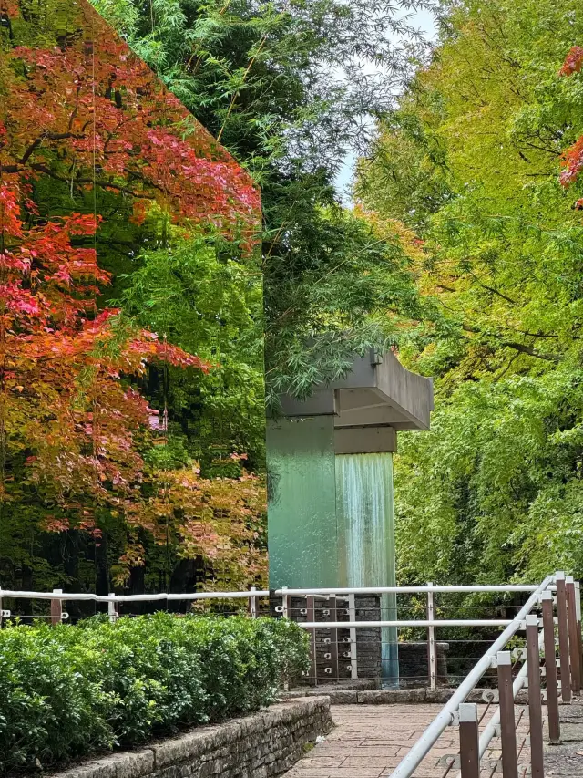 A Must-Visit in Kunming This Autumn