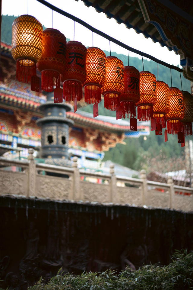 師傅說:這樣的供奉才是最好的|寺廟見聞 師傅說:這樣的供奉才是最好的|寺廟見聞