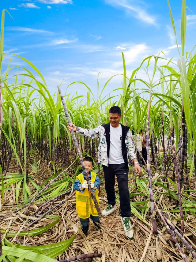 武漢周邊!當一天的農民,住進大別墅- 武漢周邊!當一天的農民,住進大別墅-