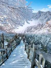 成都周邊“小瑞士”‖西嶺雪山超全遊玩攻略，滑雪看雲海