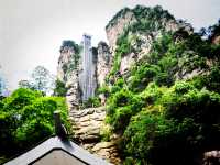 《阿凡達》拍得太保守了！武陵源才是真正的潘多拉星球！