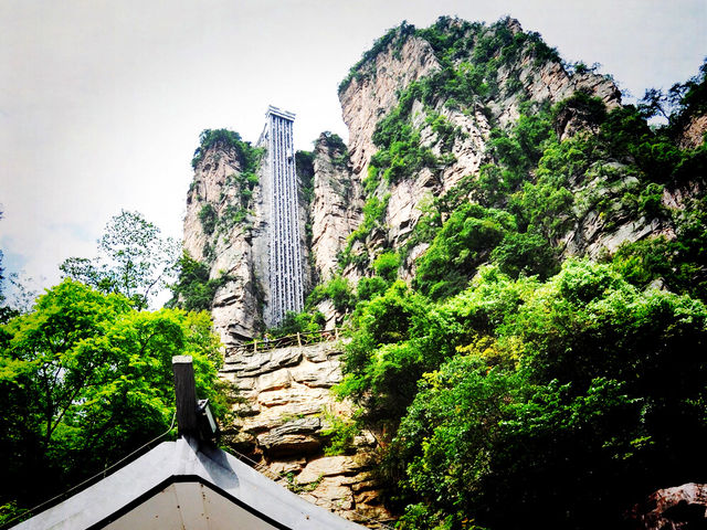 《阿凡達》拍得太保守了！武陵源才是真正的潘多拉星球！