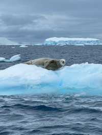 這是一場與自然的對話，打卡《權遊》同款~