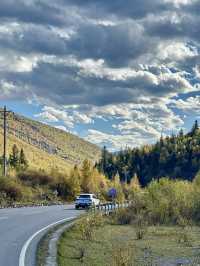 10月川西，赴一場光與金黃的約會