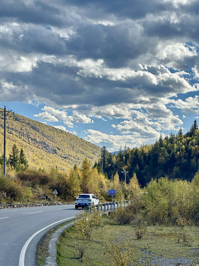 10月川西，赴一場光與金黃的約會