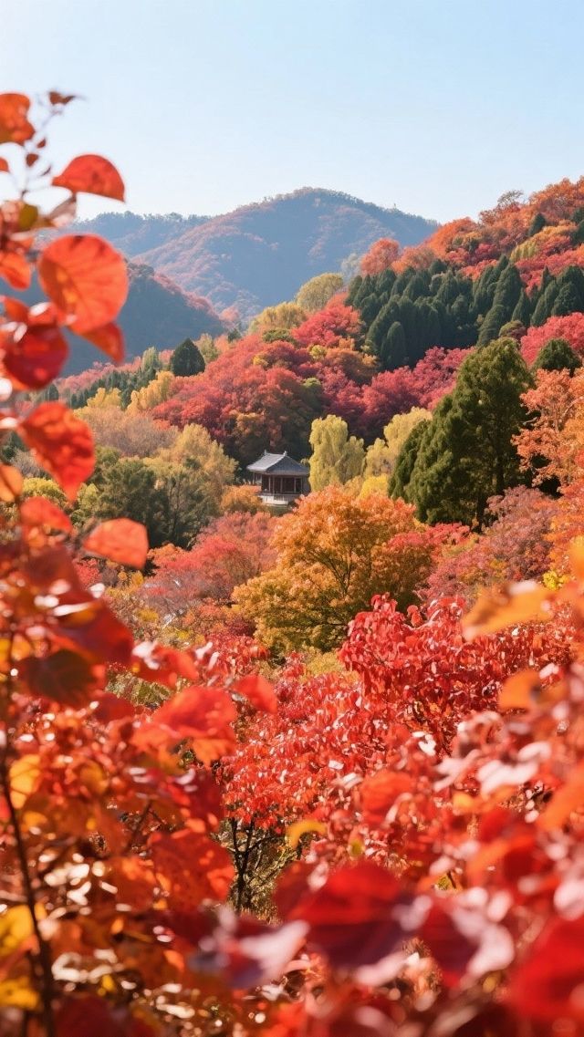 紅葉谷_您值得一去的地方!來了定不後悔! 紅葉谷_您值得一去的地方!來了定不後悔!