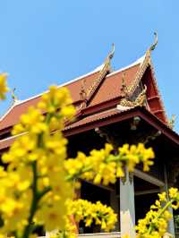 唔好再去擠九寨溝啦！我搵到一個藏喺甘肅天水嘅「隴上小九寨」！