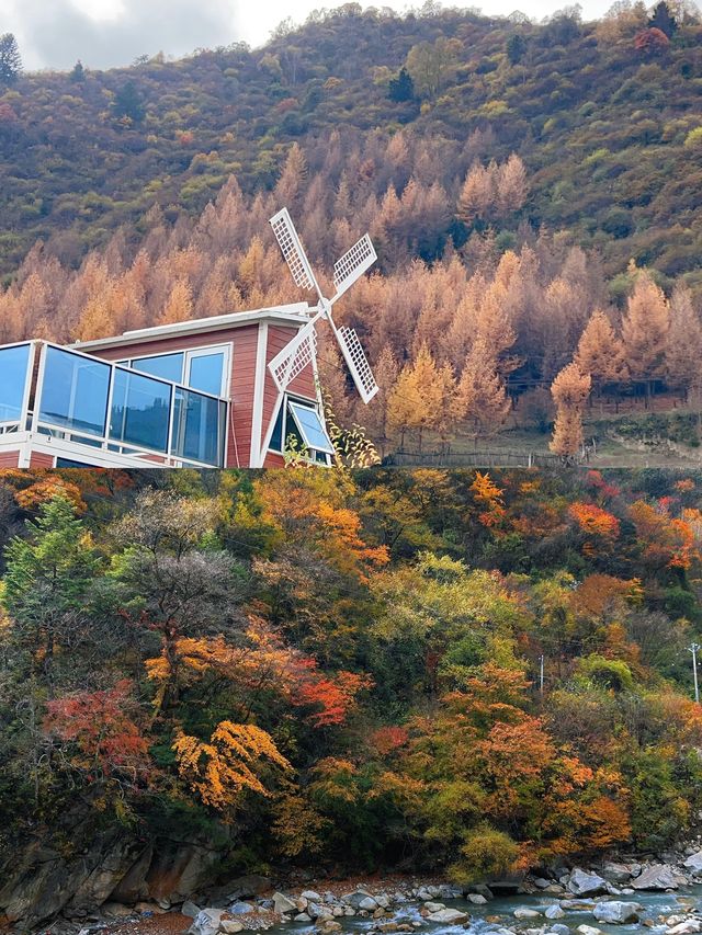 11月中旬平武縣秋日秘境完整攻略 11月中旬平武縣秋日秘境完整攻略