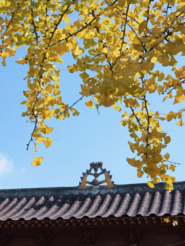 赴一場千年之約享避世之地的絕美秋色