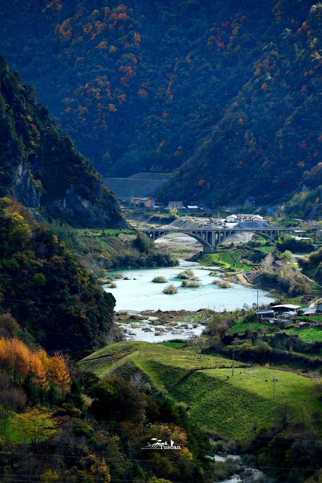 這裡的秋色不等人