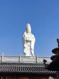 挖到一條寶藏秋遊採橘子路線！