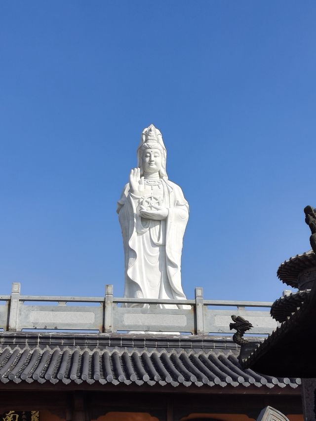 挖到一條寶藏秋遊採橘子路線！