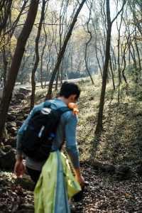 南京止馬嶺 秋季徒步出片指南