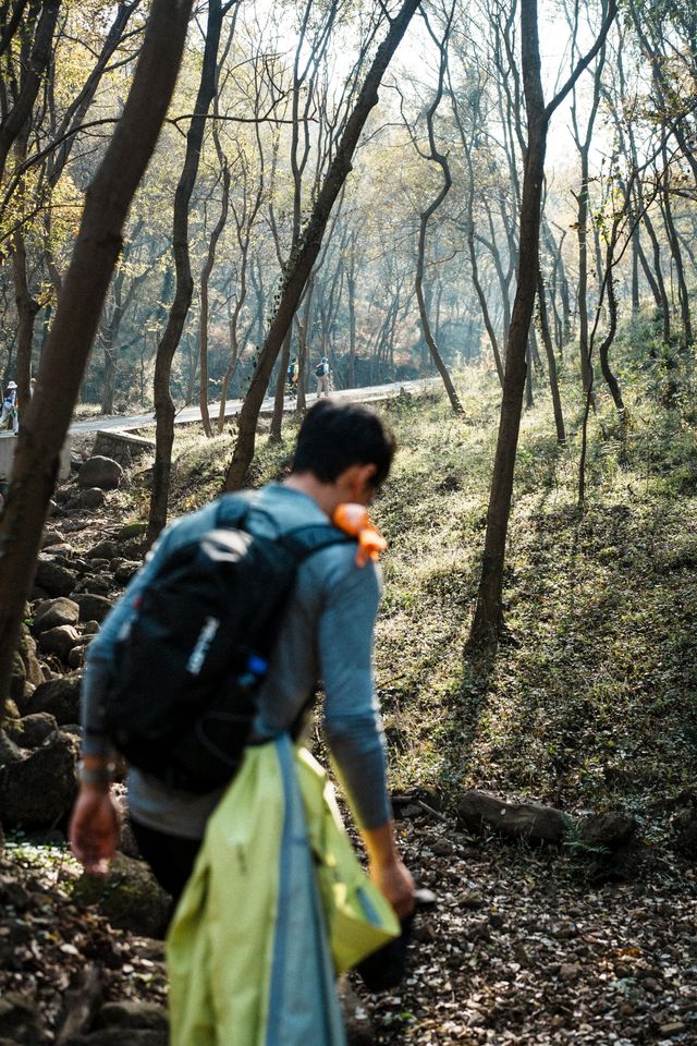 南京止馬嶺 秋季徒步出片指南