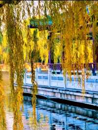 赴一場萬柳塘公園的秋日之約