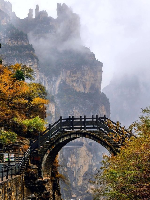 北京人的最愛，南太行的最美--秋日限定色！