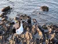 煙台海岸邂逅歐洲風情