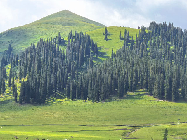 去掉濾鏡的新疆旅行——第十天 去掉濾鏡的新疆旅行——第十天