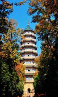 南京靈谷寺賞秋秘境