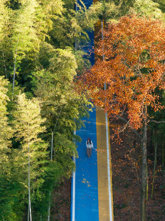 秋日速報！！收到一本宜興的童話書