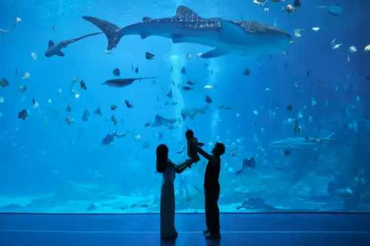 珠海長隆海洋王國