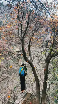 金龍峽徒步｜秦嶺秘境｜人少景美｜新手天堂