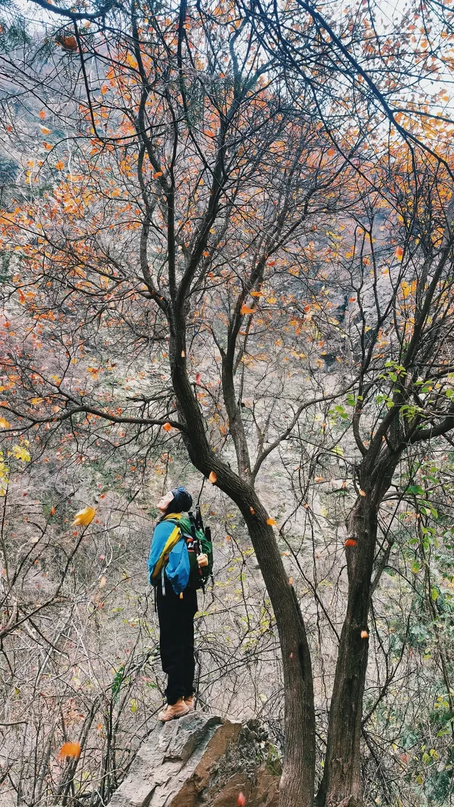 金龍峽徒步｜秦嶺秘境｜人少景美｜新手天堂