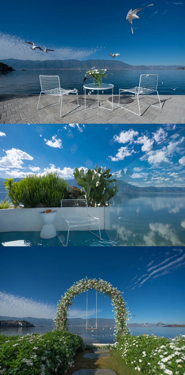 大理私藏!在洱海風中蕩秋千時,海鷗真的落在我肩上 大理私藏!在洱海風中蕩秋千時,海鷗真的落在我肩上