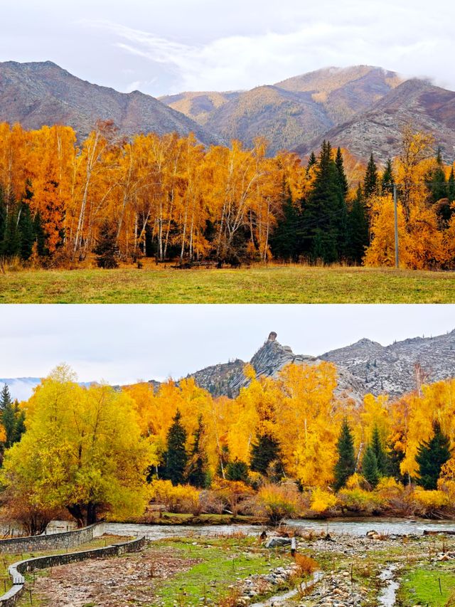 可可托海避坑指南從交通到吃住全攻略