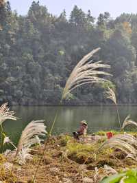 橫江濕地藏著秋日私語