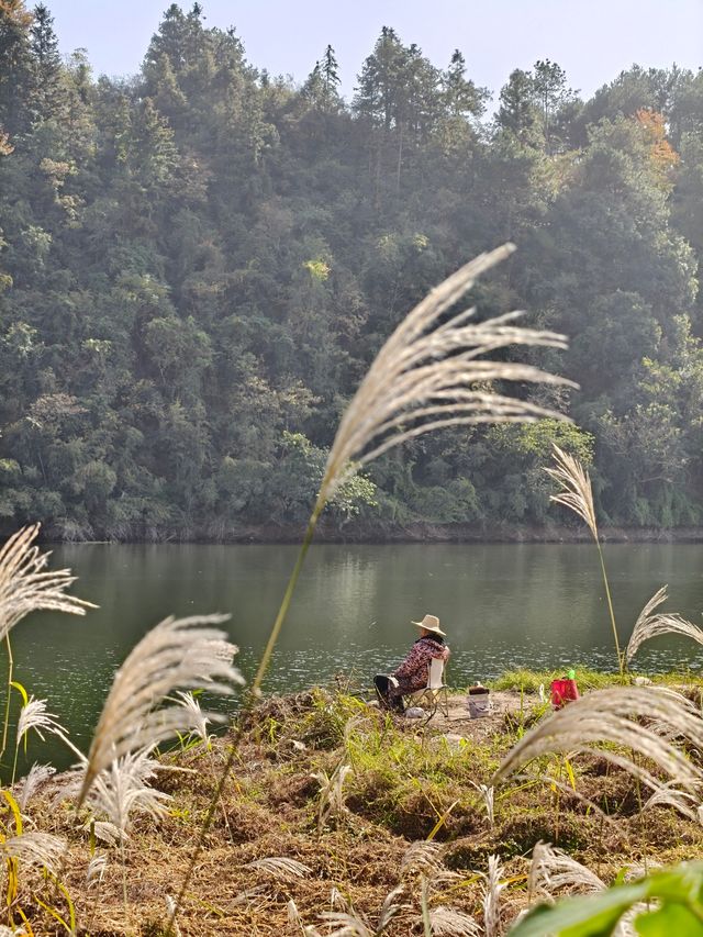 橫江濕地藏著秋日私語