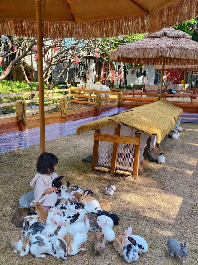 佛山祖廟附近新開的！！遛娃好去處！！